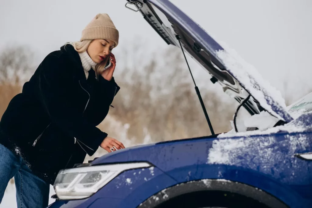 Forstå hvordan bilen din oppfører seg i snøen. 
