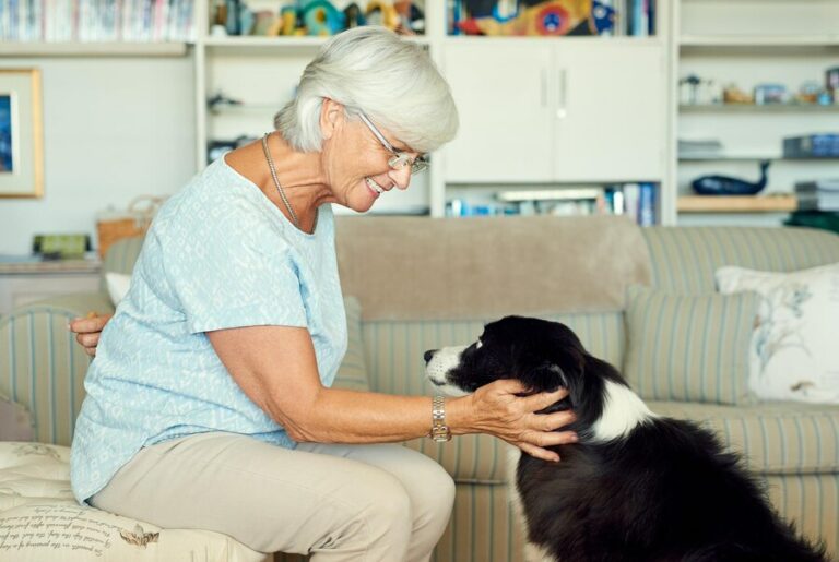 Forstå helseproblemer for eldre kjæledyr